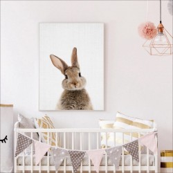 Affiche lapin brun mignon