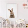 Affiche lapin brun mignon