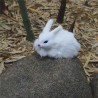 peluche lapin realiste